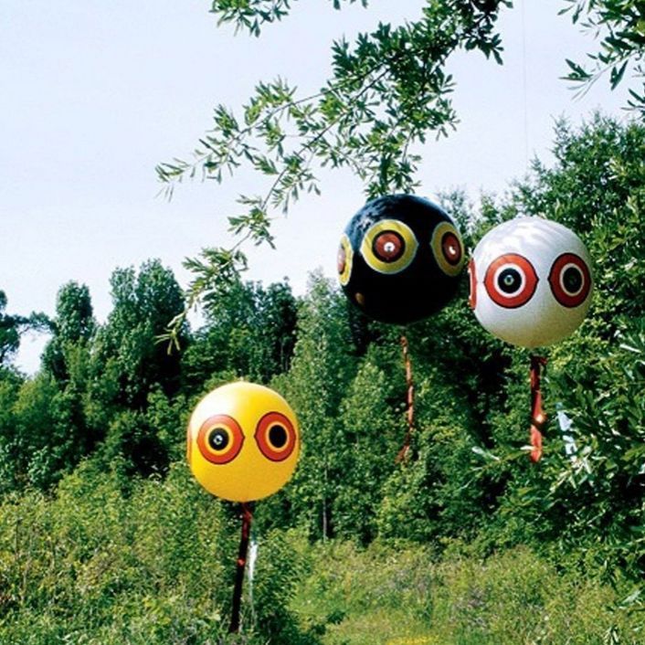 Войсковая часть в Подмосковье закупит надувные шары для отпугивания птиц