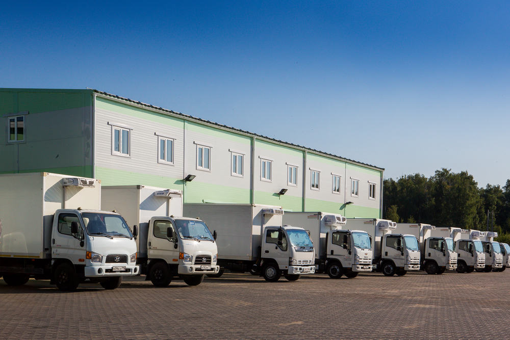 Из-за картельного сговора на закупках в Подмосковье изменят 44 федеральный закон