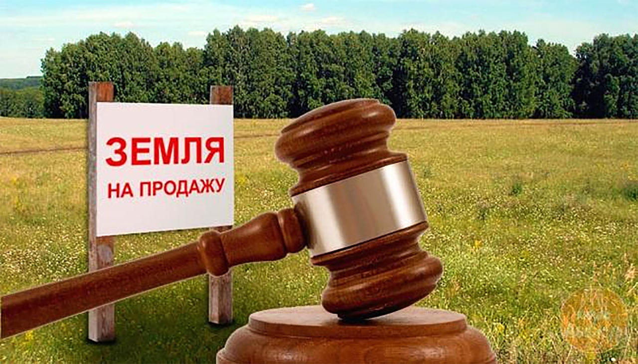 Сговорились? Реализация земельных участков без проведения торгов