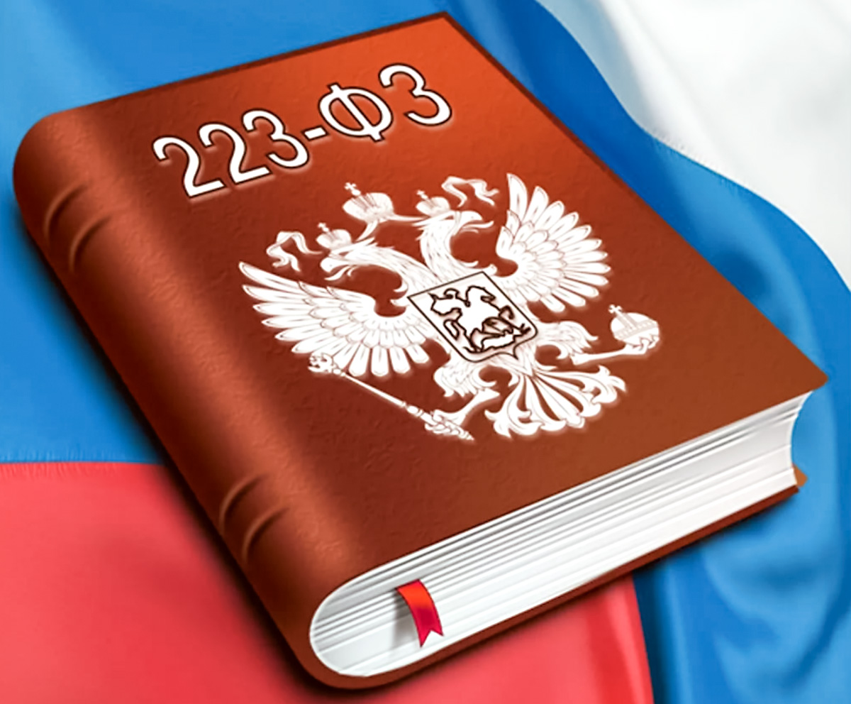 Правительство определило, какие товары будут квотироваться по Закону N 223-ФЗ