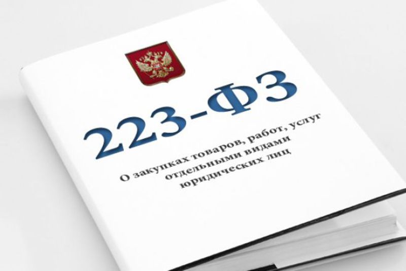 Опубликован закон о штрафах за просрочку оплаты при закупке у СМСП по Закону N 223-ФЗ