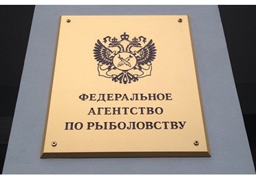 Минтайное становится явным