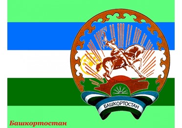 Объем госзакупок с субъектами МСП РБ увеличился на 19% в I полугодии