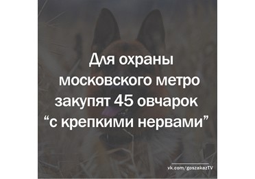 Для охраны метро столицы закупили овчарок "с крепкими нервами"