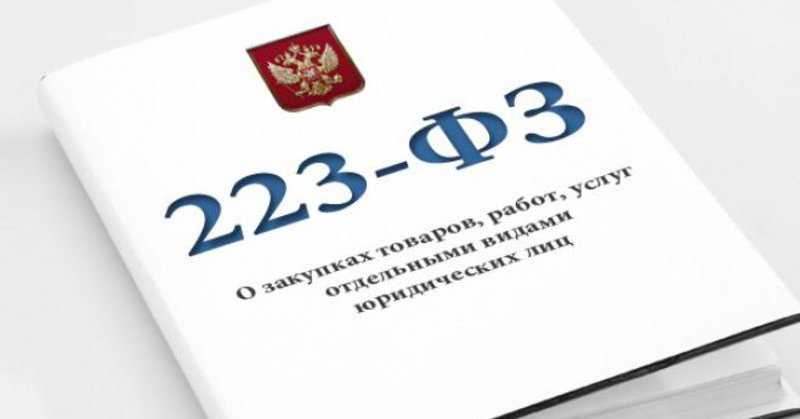 Установили порядок закупок по Закону №223-ФЗ у СМСП по принципу «электронного магазина»