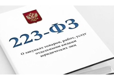 Разъясняем постановление о неразмещении в ЕИС сведений о закупках заказчиков по 223-ФЗ, попавших под иностранные санкции