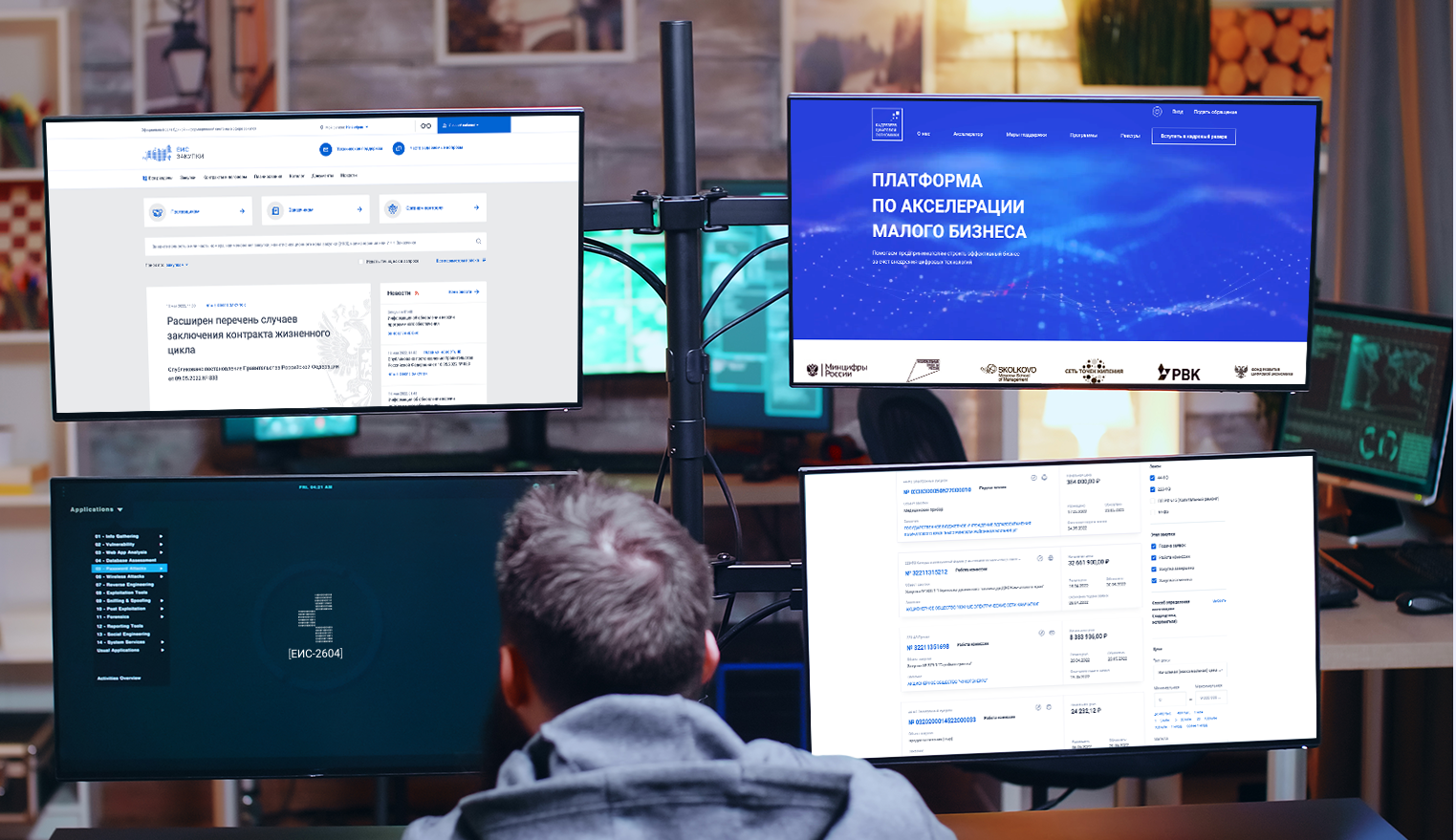 Что из себя представляет система квалификации ЕИС-2604