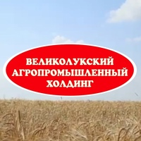 «Великолукский агропромышленный холдинг» заключил СЗПК на 30 млрд рублей