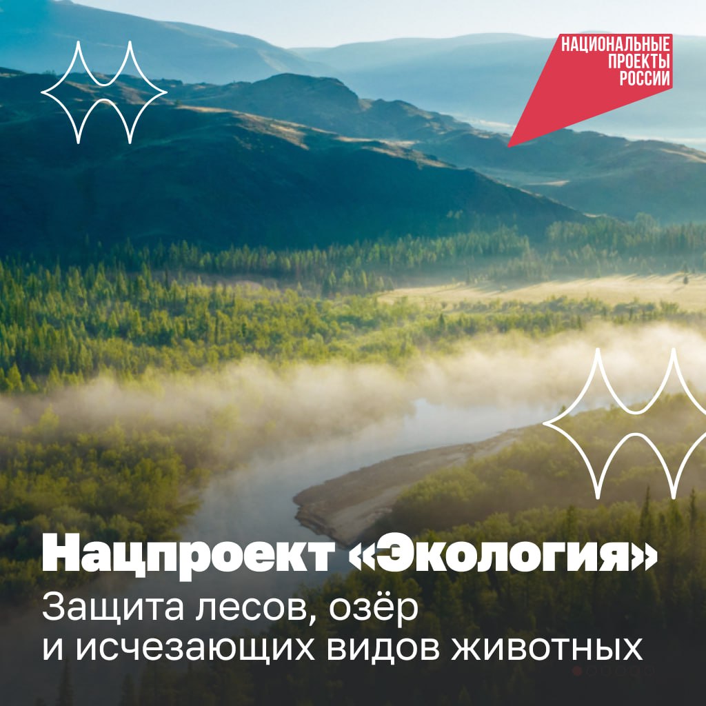 Почти 600 км русел рек и других водоёмов расчистили за шесть лет работы нацпроекта «Экология».