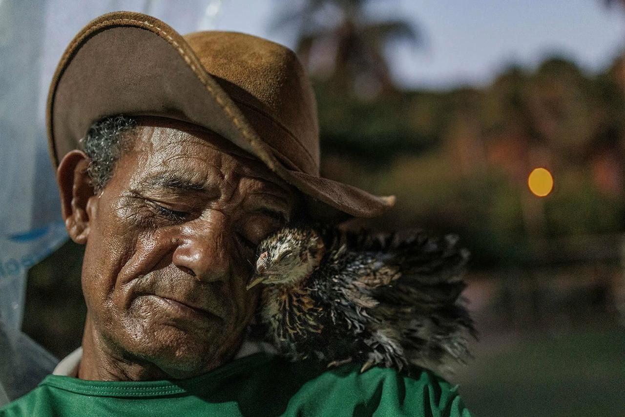 Лучшие снимки 2025 года по версии National Geographic. На кадрах запечатлены экопроблемы, обычаи малых народов, животные и многое другое. 