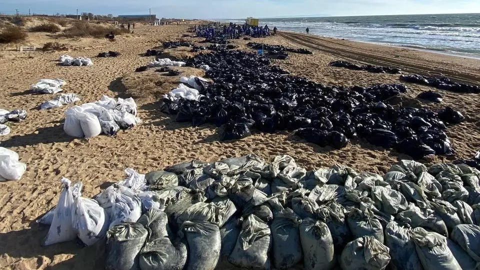 Экологическая ситуация в Черном море из-за разлива мазута критическая
