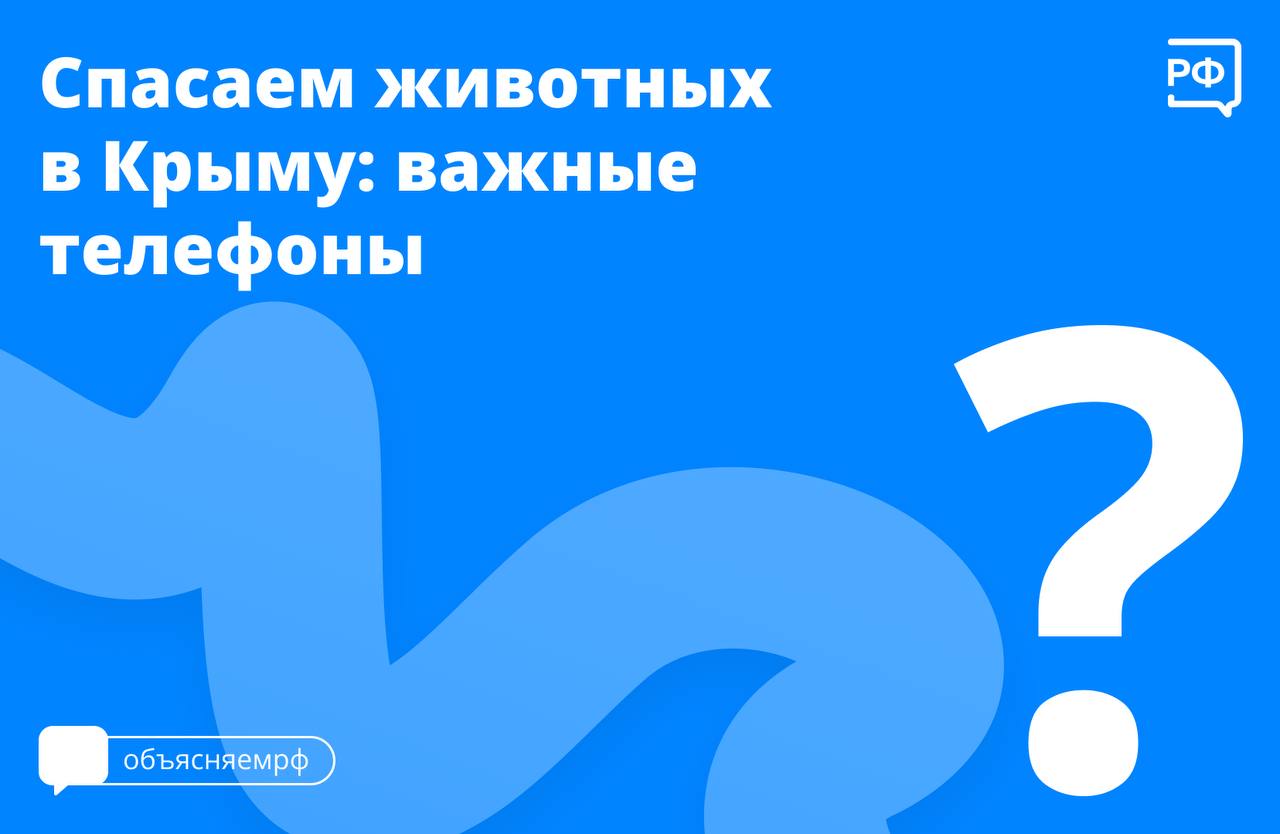 Нашли пострадавшее от загрязнения мазутом животное? Обратитесь к специалистам.