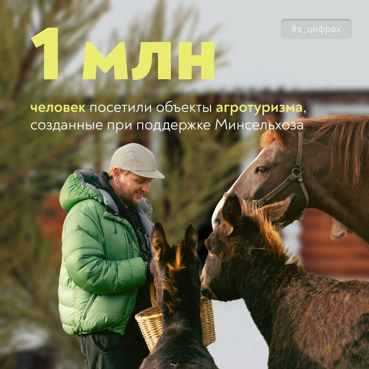  Новогодние праздники – идеальное время для новых открытий! 