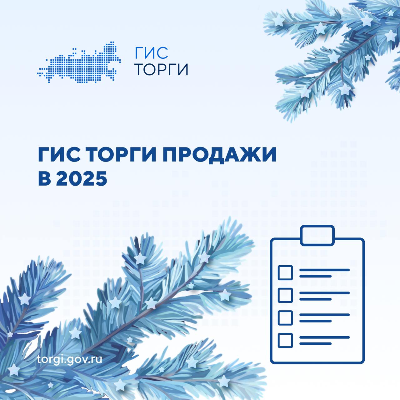  ГИС ТОРГИ ПРОДАЖИ: планы на 2025 год