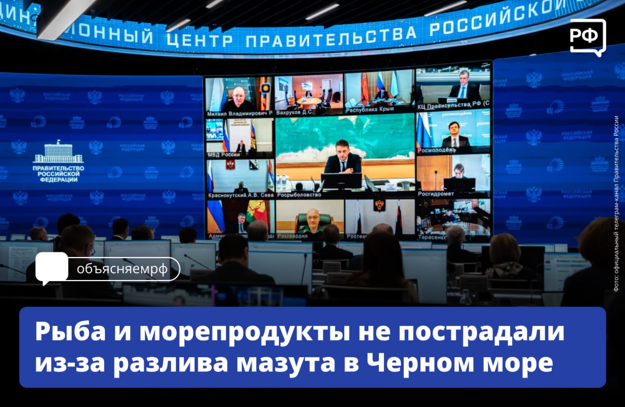 Разлив мазута в Керченском проливе не затронул промысел рыбы и морепродуктов, заявили в Росрыболовстве. 