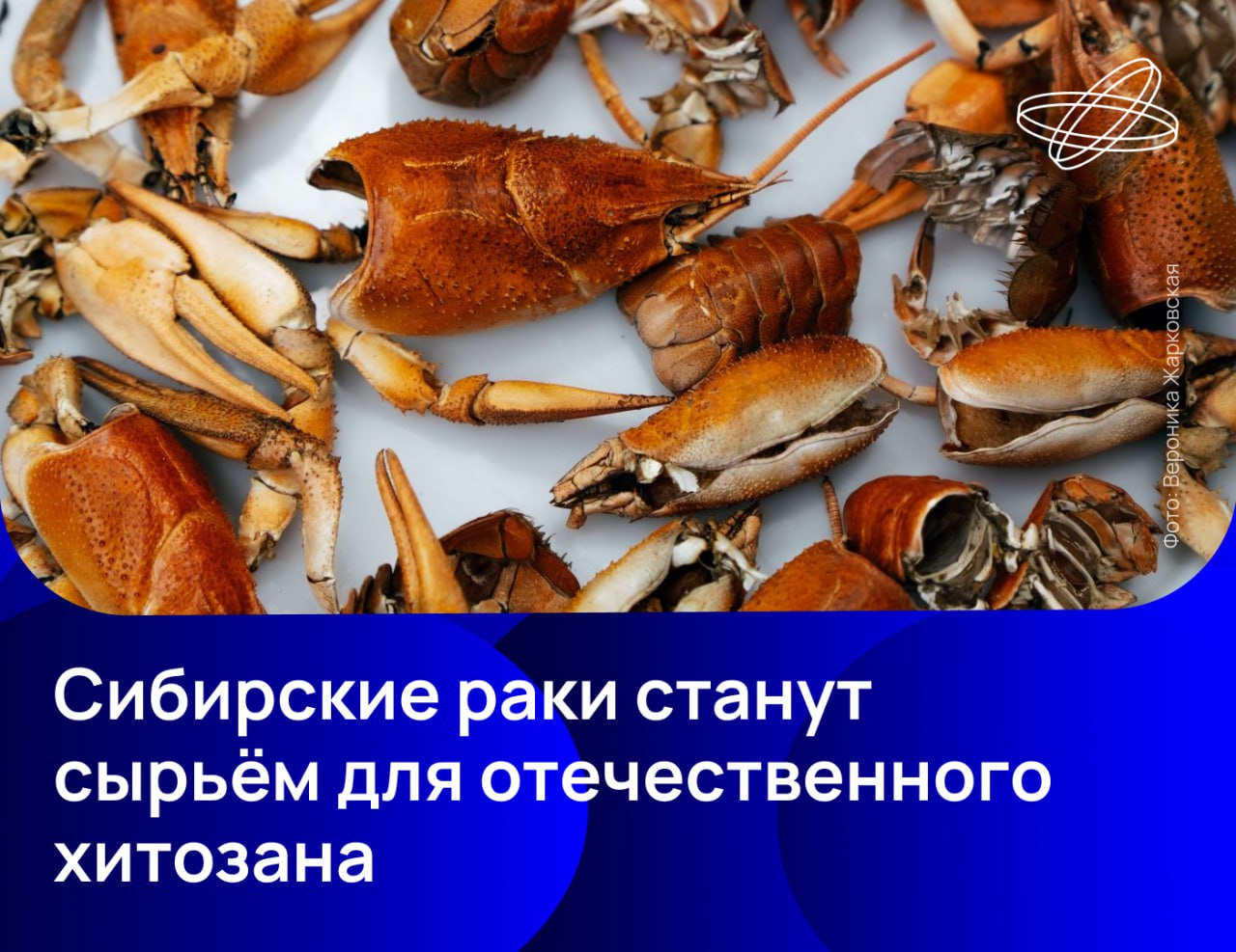 Биополимеры на основе хитозана широко применяют в медицине