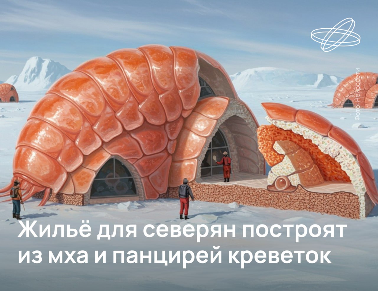 Сибирские учёные нашли строительный материал, идеально подходящий для арктических поселений. Это природный полисахарид хитозан, получаемый из панцирей ракообразных.