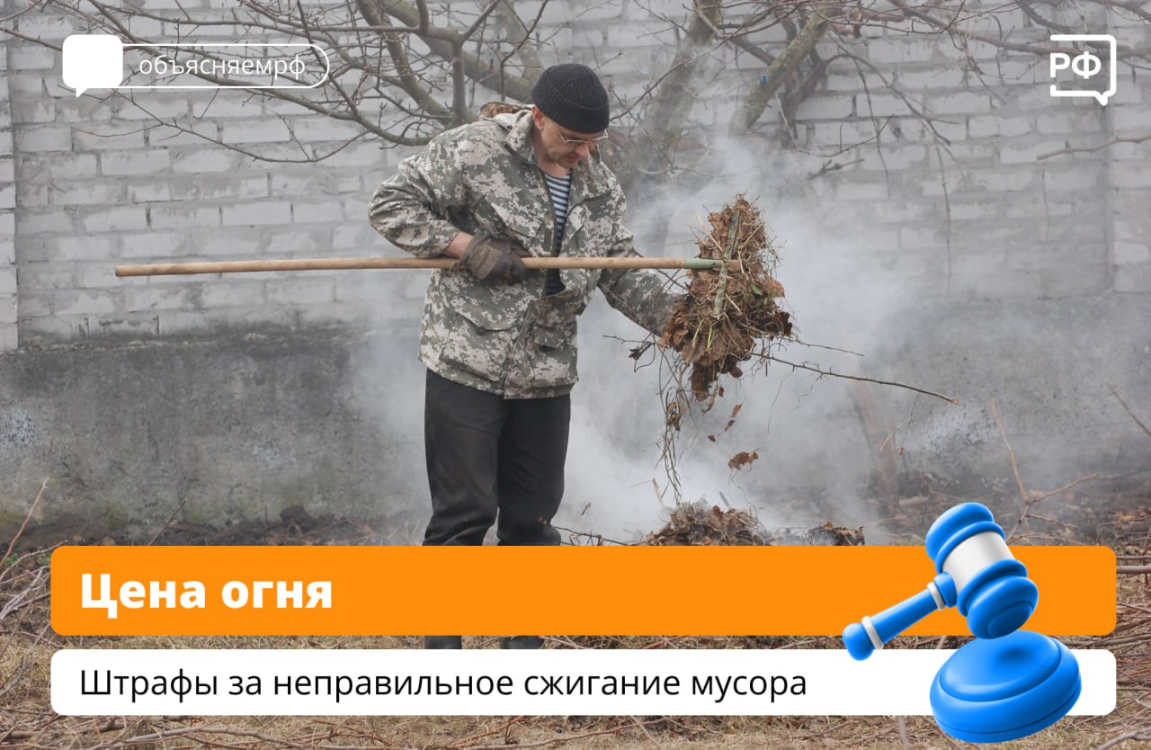 Как сжечь мусор на своём дачном участке и не получить штраф? Главное — соблюдать нормы пожарной безопасности: