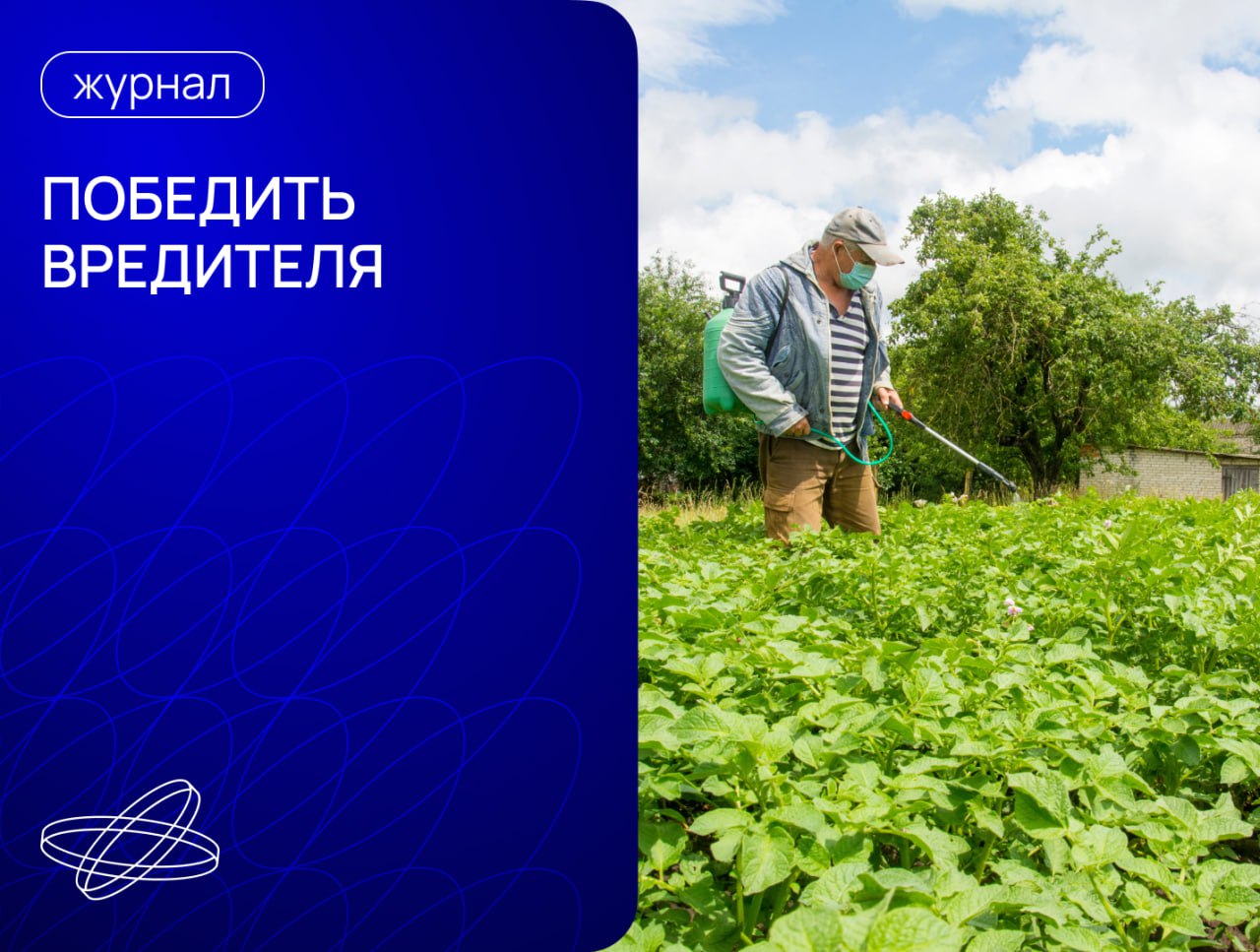  Как защитить свой участок от тли, медведки и других незваных гостей