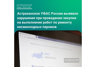 Какие нарушения служба нашла в организации закупки?