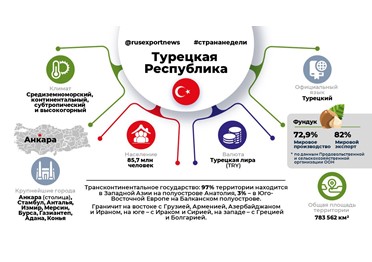 Российско-турецкие экономические отношения: взгляд в будущее и текущие реалии