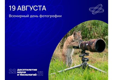 В фокусе объектива