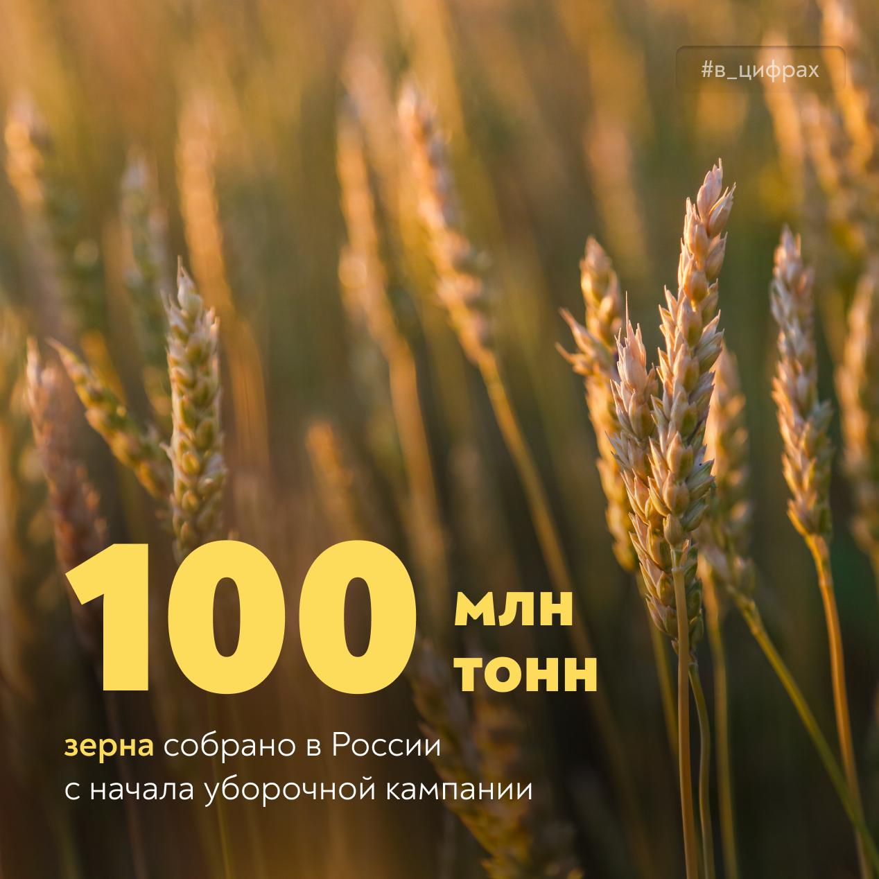  В России собрано 100 млн тонн зерна нового урожая