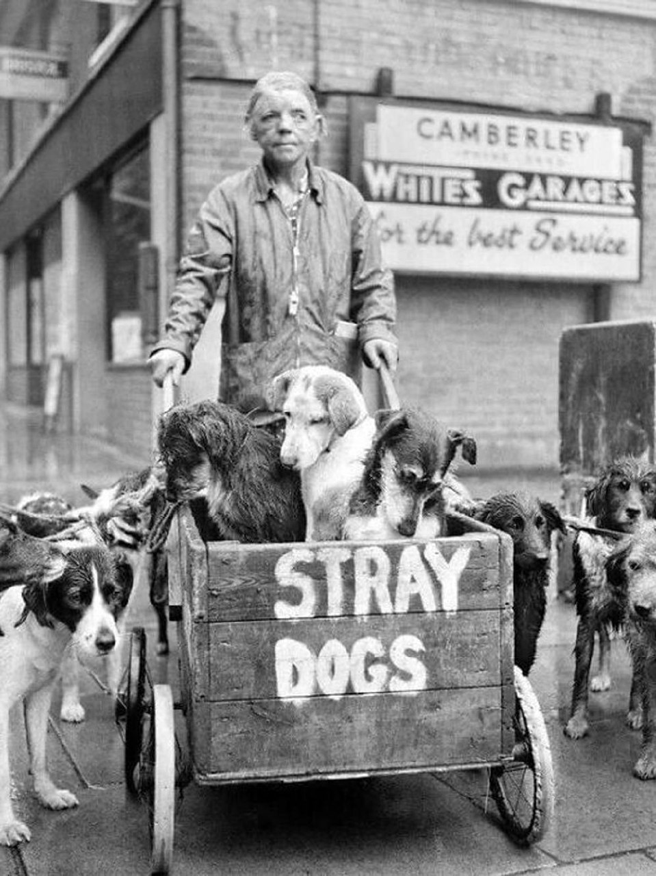 Жизнь, отданная тем, кто не мог попросить о помощи