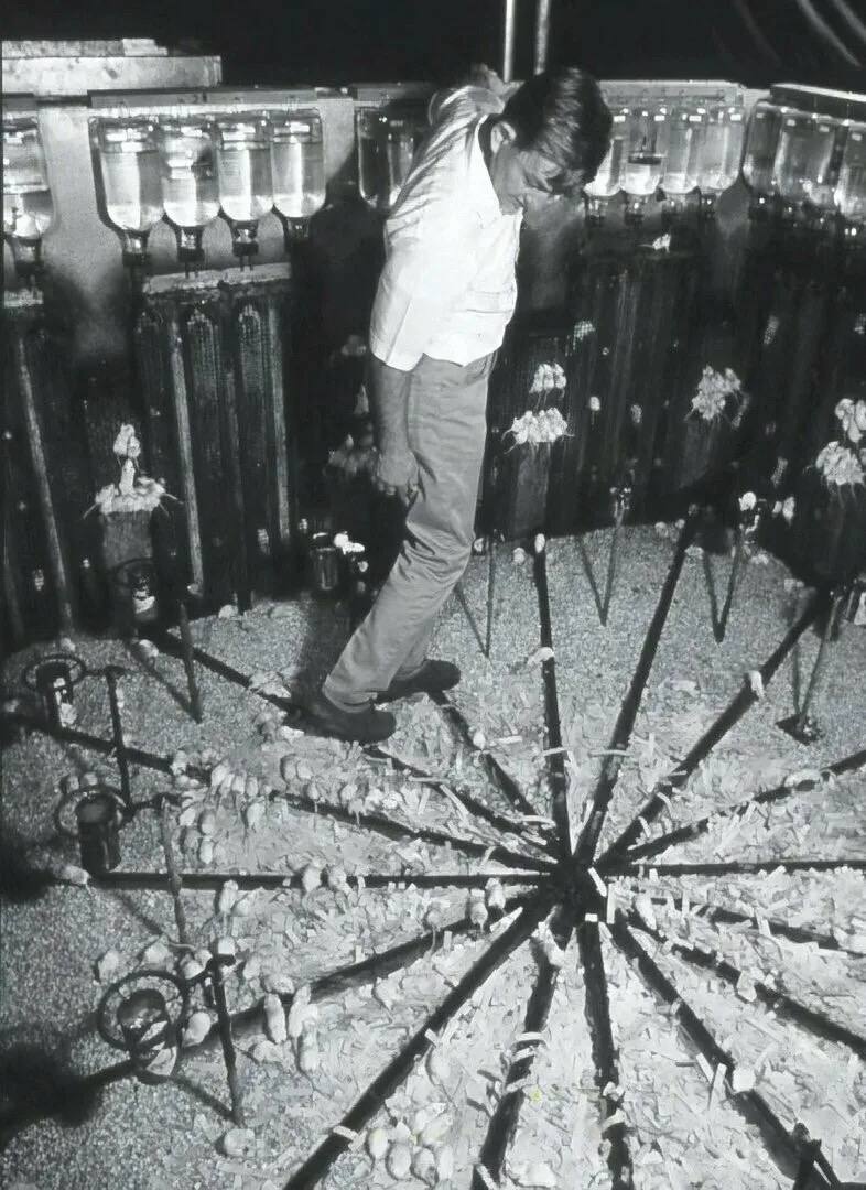 Учёный, который попытался создать рай — и стал свидетелем его гибели 